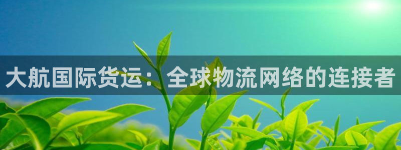 okpay是什么钱包：大航国际货运：全球物流网络的连接者