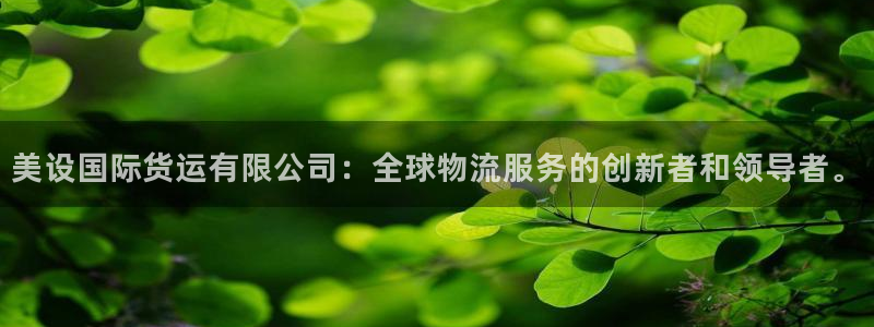 okpay钱包网页版：美设国际货运有限公司：全球物流服务