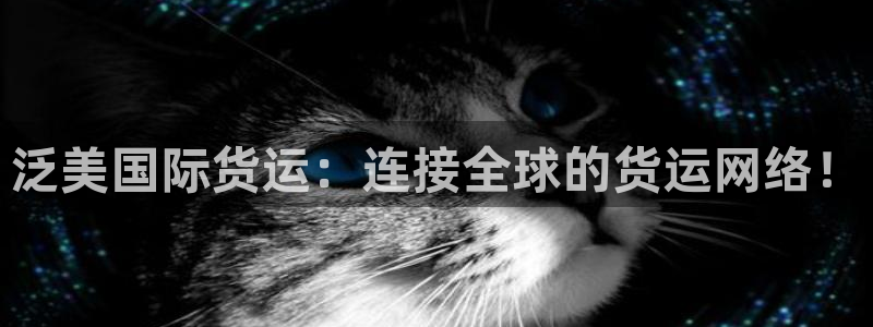 okpay钱包链接：泛美国际货运：连接全球的货运网络！