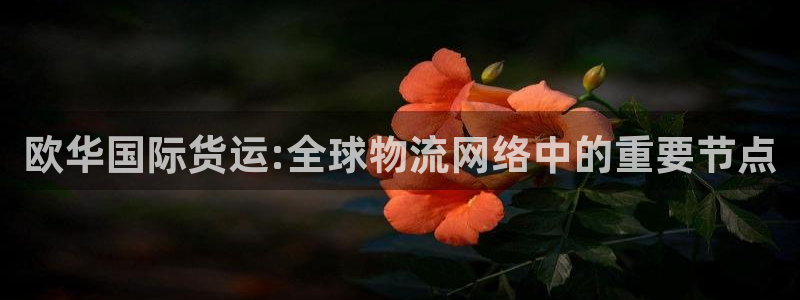网赌okpay钱包安全吗：欧华国际货运:全球物流网络中的