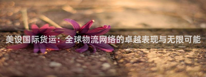okpay钱包是什么东西,正规吗：美设国际货运：全球物流