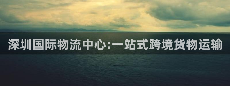 okpay钱包下载链接：深圳国际物流中心:一站式跨境货物