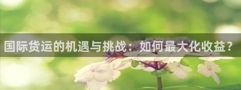 okpay钱包app官网：国际货运的机遇与挑战：如何最大