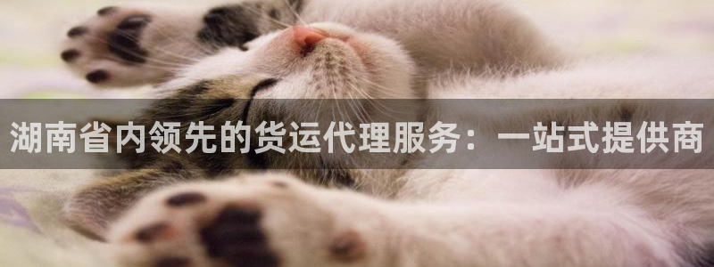 okpay钱包最新版下载：湖南省内领先的货运代理服务：一