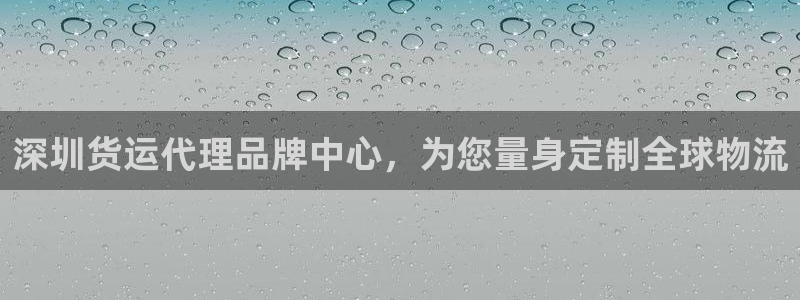 okpay钱包旧版本：深圳货运代理品牌中心，为您量身定制