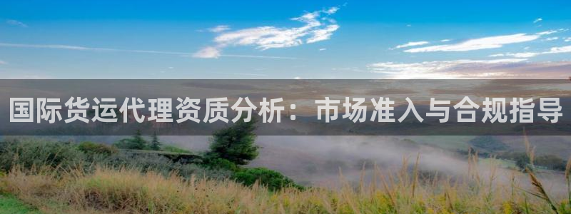 okpay钱包怎么提现到微信：国际货运代理资质分析：市场