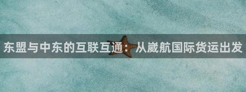 okpay钱包倒闭了没：东盟与中东的互联互通：从崴航国际