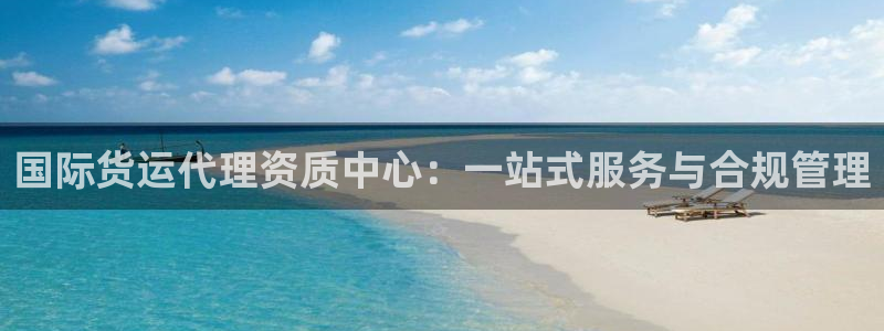 okpay钱包链接：国际货运代理资质中心：一站式服务与合