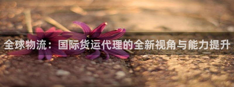 okpay钱包教程：全球物流：国际货运代理的全新视角与能
