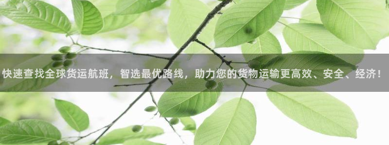 okpay钱包下载：快速查找全球货运航班，智选最优路线，