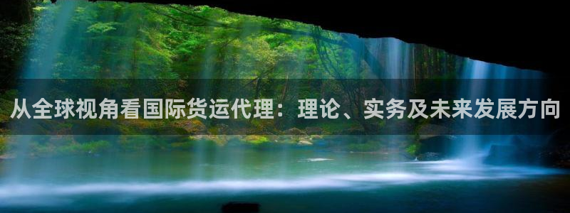 okpay钱包靠谱吗：从全球视角看国际货运代理：理论、实