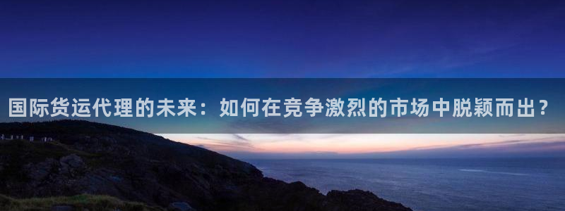 okpay钱包会被查吗：国际货运代理的未来：如何在竞争激