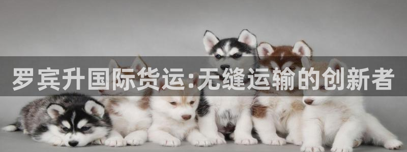 okpay钱包怎么提现到微信：罗宾升国际货运:无缝运输的