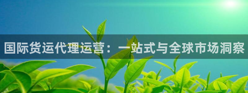 okpay钱包靠谱吗：国际货运代理运营：一站式与全球市场