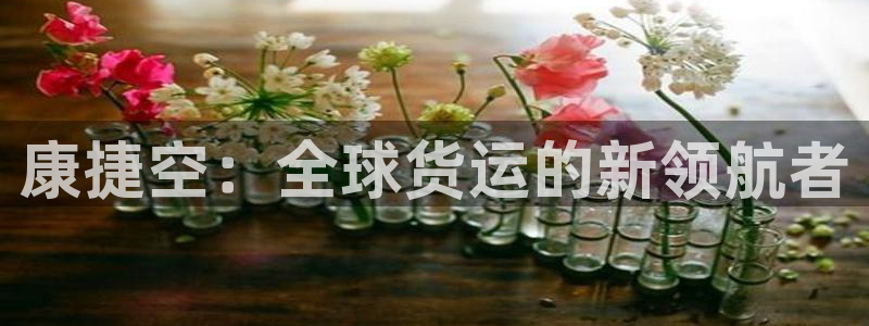 okpay钱包下载地址：康捷空：全球货运的新领航者