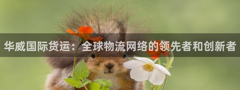 okpay钱包app官网