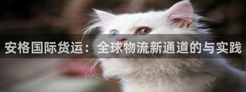 okpay钱包官网版v6.0.21：安格国际货运：全球物