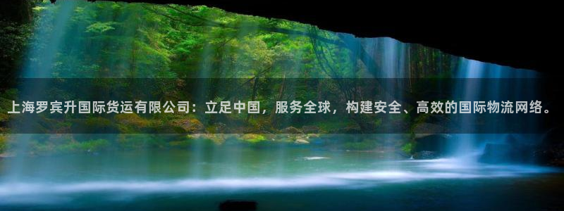 okpay钱包倒闭了没：上海罗宾升国际货运有限公司：立足