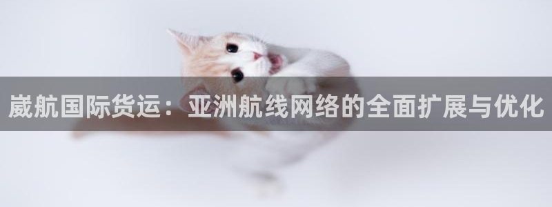 okpay钱包网页版：崴航国际货运：亚洲航线网络的全面扩