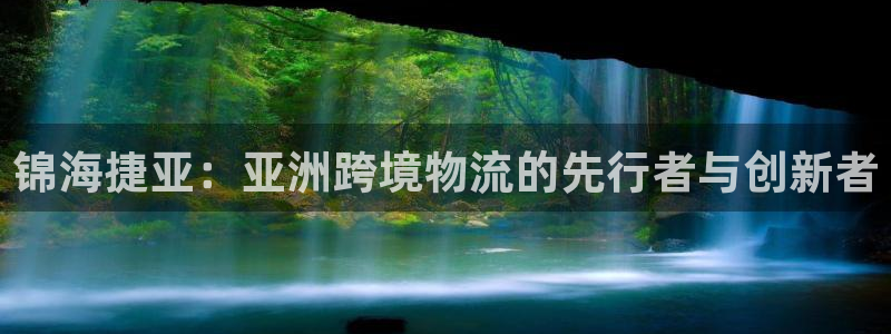 okpay支付钱包下载最新：锦海捷亚：亚洲跨境物流的先行
