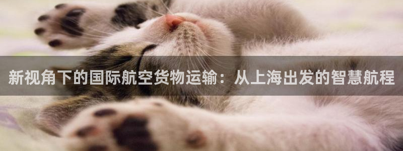 okpay钱包官网版
