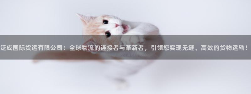 okpay钱包手机版：泛成国际货运有限公司：全球物流的连