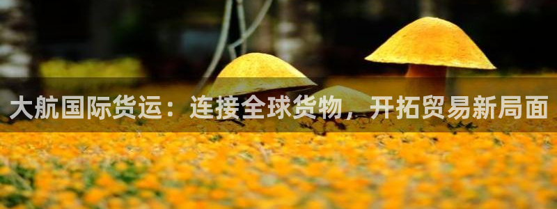 okpay钱包官网入口：大航国际货运：连接全球货物，开拓
