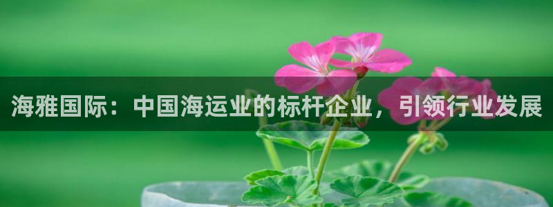 okpay钱包999：海雅国际：中国海运业的标杆企业，引